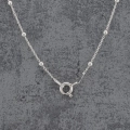DSCok00087.webp